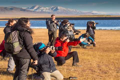 Government Declares 2023-2024 as 'Visit Mongolia' Years: Embrace the Spirit of Adventure..