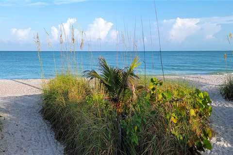 The Best Time to Experience Lee County, Florida Tourism
