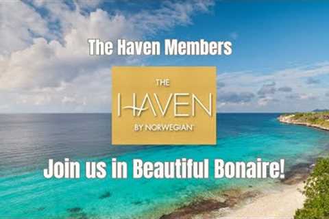 The Haven Norweigan Cruise Line - Bonaire Private Catamaran Charter - Things to Do in Bonaire Port