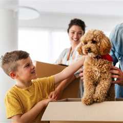 Steps for a Pet-Safe Move | MyProMovers