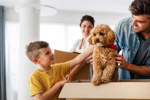 Steps for a Pet-Safe Move | MyProMovers