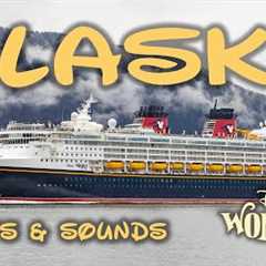 Disney Wonder 7 Night ALASKA Cruise 2024 - Day by Day