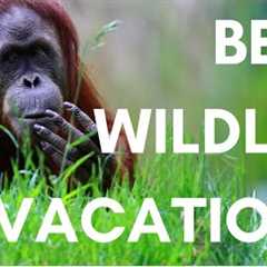 The 5 Best Vacations for Wildlife Lovers | SmarterTravel