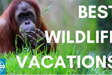 The 5 Best Vacations for Wildlife Lovers | SmarterTravel