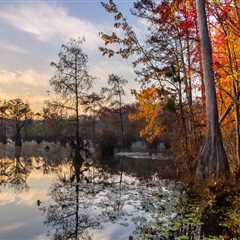 Navigating the Rules and Regulations of Recreational Rentals in Northeastern North Carolina