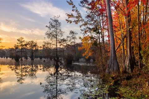 Navigating the Rules and Regulations of Recreational Rentals in Northeastern North Carolina