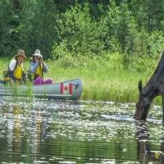 Discover the Wild: Unforgettable Outdoor Excursion Tours for Every Adventurer