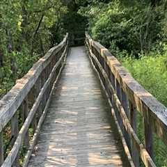Discovering the Great Outdoors: Outdoor Adventures and Sights near Venues in Erie County, New York