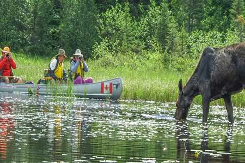 Discover the Wild: Unforgettable Outdoor Excursion Tours for Every Adventurer