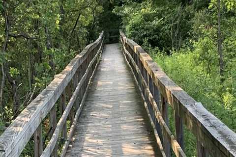 Discovering the Great Outdoors: Outdoor Adventures and Sights near Venues in Erie County, New York
