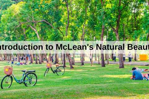 Introduction to McLean's Natural Beauty | MyProMovers