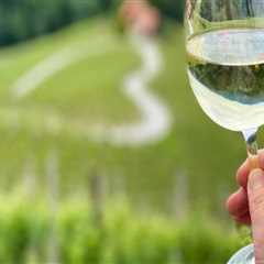 A Taste of the Land: Why Vineyard Tours Are More Than Just Wine