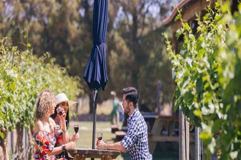 Uncork the Experience: A Beginner’s Guide to Wine Tours