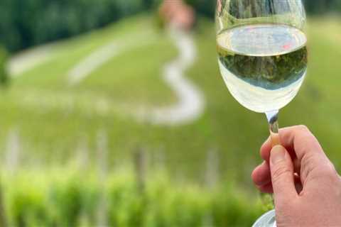 A Taste of the Land: Why Vineyard Tours Are More Than Just Wine