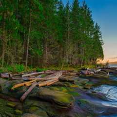 The Role Of A Local Dock Supplier In British Columbia’s Vineyard Tourism