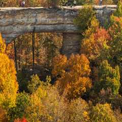 Experience the Best of Northern Kentucky through Tours