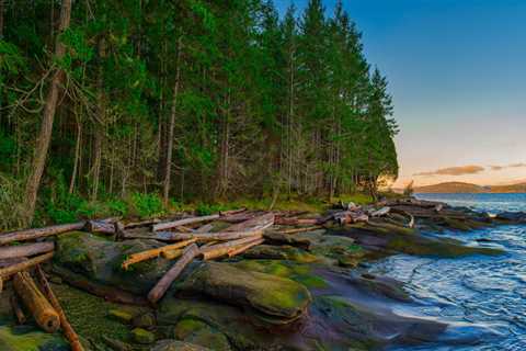 The Role Of A Local Dock Supplier In British Columbia’s Vineyard Tourism