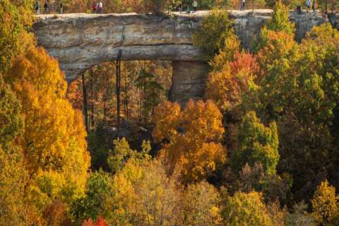 Experience the Best of Northern Kentucky through Tours