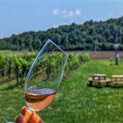Wine Tours vs. Self-Guided Tastings: Which Experience Is Better?