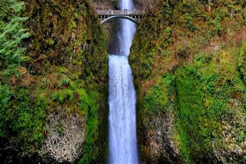 Discovering the Marvels of Western Oregon