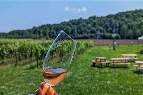 Wine Tours vs. Self-Guided Tastings: Which Experience Is Better?