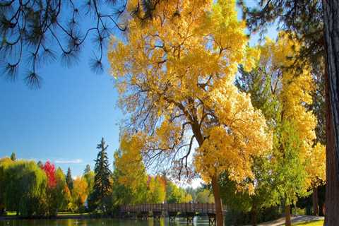 The Ultimate Guide to Experiencing Car Shows in Central Oregon