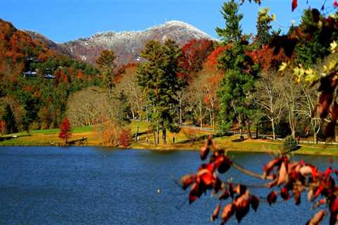 Top Family-Friendly Tourist Spots in Central North Carolina