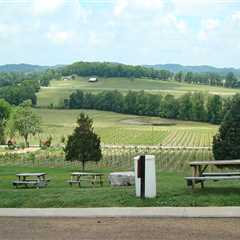 How Tourist Attractions in Williamson County Maintain Their Charm