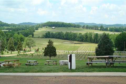 How Tourist Attractions in Williamson County Maintain Their Charm